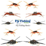 Basics Collection - Kaufmann's Tungsten Bead Stonefly Nymph Assortment - 10 Bead Head Rubber Legs Wet Flies - 5 Patterns - Hook Sizes 4, 6, 8, 10, and 12
