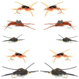 Basics Collection - Kaufmann's Stonefly Nymph Assortment - 10 Bead Head Rubber Legs Wet Flies - 5 Patterns - Hook Sizes 4, 6, 8, 10, and 12