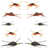 Basics Collection - Kaufmann's Tungsten Bead Stonefly Nymph Assortment - 10 Bead Head Rubber Legs Wet Flies - 5 Patterns - Hook Sizes 4, 6, 8, 10, and 12