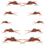 Basics Collection - Kaufmann's Brown Stonefly Nymph Assortment 10 Bead Head Rubber Legs Wet Flies - Hook Sizes 6, 8, 10, and 12