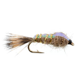 Classic Weighted Flashback Gold Ribbed Hares Ear Nymph - Set of 6 Flies - Size 14