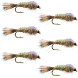 Classic Weighted Flashback Gold Ribbed Hares Ear Nymph - Set of 6 Flies - Size 18