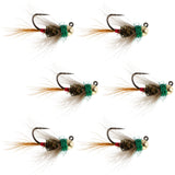 Tungsten Bead Tactical CDC Frenchie Czech Nymph Euro Nymphing Fly - 6 Flies Size 12
