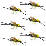 Long Tail Skwala Stone Fly Dry Trout Flies - Adult Squalla Stonefly Dry Fly - 6 Flies Hook Size 10