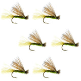 Olive X Caddis Emerging Caddis Adult Trout Dry Fly - 6 Flies Hook Size 14