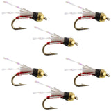 Beadhead Red 3 Dollar Dip Serendipity Wet Fly Fishing Flies - 6 Flies Hook Size 18