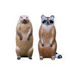 Pro Hunter Raccoon And Groundhog Combo Pack Archery Targets