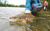 3 Pack Kaufmann's Orange Crystal Stimulator Rubber Legs Dry Fly - Hook Size 12