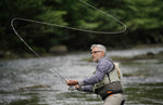 3 Pack Royal Trude Classic Hair Wing Dry Fly - Hook Size 12