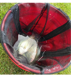 Treasure Chest - Mesh Live Well Bag- 2 Sizes Available!