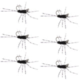Barbless Pat's Barred Rubber Legs Tungsten Bead Jigged Black Euro Nymph  - Set of 6 Flies Hook Size 6