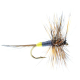 Adams Female Classic Dry Fly - 6 Flies - Hook Size 12