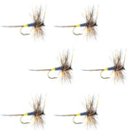 Adams Female Classic Dry Fly - 6 Flies - Hook Size 12