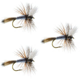 3 Pack Adams Wulff Classic Dry Fly - Hook Size 8