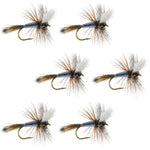 Adams Wulff Classic Dry Fly - 6 Flies - Hook Size 10