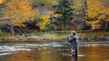 Pale Morning Dun PMD Classic Dry Fly - 6 Flies Hook Size 16