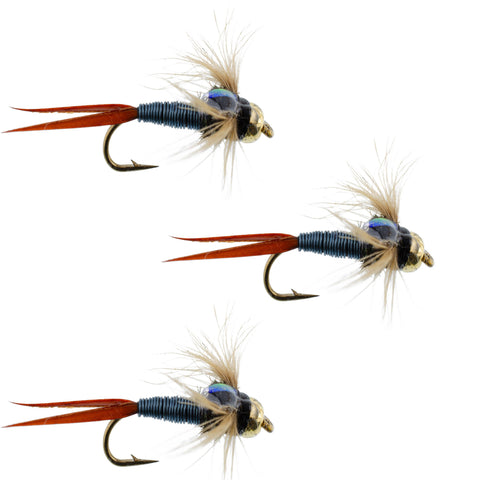 3 Pack Bead Head Metallic Blue Copper John Nymph - Fly Fishing Flies - Hook Size 12