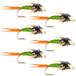 Tungsten Bead Head Chartreuse Copper John Nymph Fly Fishing Flies - Set of 6 Flies Hook Size 12