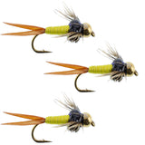 3 Pack Bead Head Hot Yellow Copper John Nymph - Fly Fishing Flies - Hook Size 12