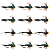 Bead Head Zebra Copper John Nymph Fly Fishing Flies - 1 Dozen Flies Hook Size 12