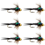 Bead Head Zebra Copper John Nymph Fly Fishing Flies - Set of 6 Flies Hook Size 14