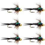 Bead Head Zebra Copper John Nymph Fly Fishing Flies - Set of 6 Flies Hook Size 12