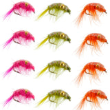 Beaded Shrimp Scud Assortment - 1 Dozen - 4 Each of 3 Patterns Size 12 - Tailwater Lake Fly Fishing Flies Collection