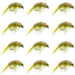 Olive Beaded Shrimp Scud Pattern - 1 Dozen Size 12 - Tailwater Lake Fly Fishing Nymph Flies