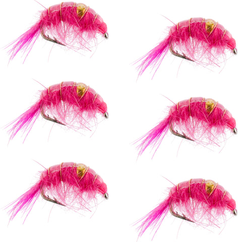 Pink Beaded Shrimp Scud Pattern - 6 Flies - Size 12 - Tailwater Lake Fly Fishing Nymph Flies