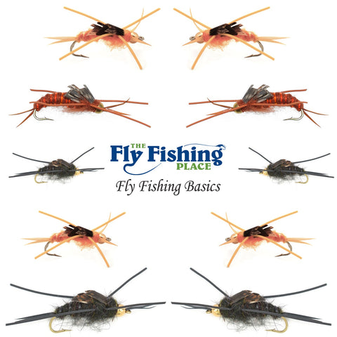 Basics Collection - Kaufmann's Stonefly Nymph Assortment - 10 Bead Head Rubber Legs Wet Flies - 5 Patterns - Hook Sizes 4, 6, 8, 10, and 12