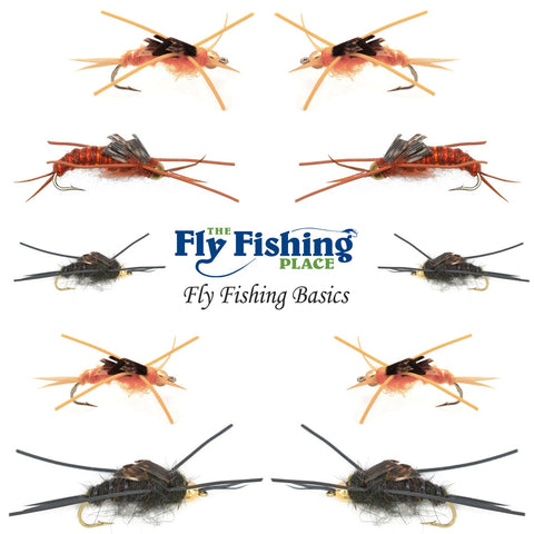 Basics Collection - Kaufmann's Tungsten Bead Stonefly Nymph Assortment - 10 Bead Head Rubber Legs Wet Flies - 5 Patterns - Hook Sizes 4, 6, 8, 10, and 12