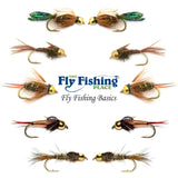 The Fly Fishing Place Basics Collection - Bead Head Nymph Assortment - 10 Wet Flies - 5 Patterns - Hook Sizes 12, 14, 16