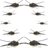 Basics Collection - Kaufmann's Tungsten Bead Black Stonefly Nymph Assortment 10 Bead Head Rubber Legs Wet Flies - 2 Each Hook Sizes 4, 6, 8, 10, and 12