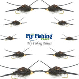 Basics Collection - Kaufmann's Tungsten Bead Black Stonefly Nymph Assortment 10 Bead Head Rubber Legs Wet Flies - 2 Each Hook Sizes 4, 6, 8, 10, and 12