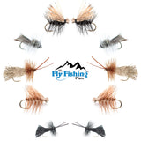 Basics Collection - Essential Caddis Dry Fly Assortment - 10 Dry Fishing Flies - 5 Patterns - Hook Sizes 12, 14, 16, 18