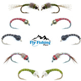 Basics Collection - Essential Bead Head Midge Nymph Assortment - 10 Wet Flies - 5 Patterns - Hook Sizes 14, 16, 18