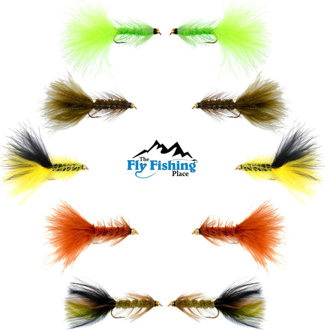 Basics Collection - Crystal Woolly Bugger Assortment - 10 Bead Head Wet Flies - 5 Patterns - Hook Size 8