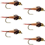 Bead Head Copper John Nymph Fly Fishing Flies - Set of 6 Flies Hook Size 18