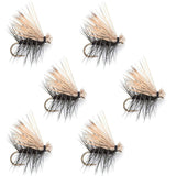 Black Elk Hair Caddis Classic Trout Dry Fly - Set of 6 Flies Size 12