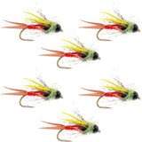 Tungsten Bead Head Nicks Prince Special Nymph Fly Fishing Flies - Set of 6 Flies Hook Size 10