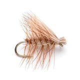 Eastern Trout Fly Assortment - 24 Essential Dry and Nymph Fly Fishing Flies Collection - Trout Flies with Gift Fly Box