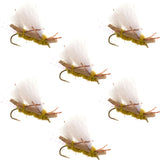 Chubby Chernobyl Ant Golden Foam Body Grasshopper Fly - 6 Flies Hook Size 10