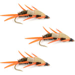 3 Pack Double Bead Peacock Stonefly Nymph with Amber Biot Legs Fly Fishing Flies - Trout and Bass Wet Fly Pattern - Hook Size 12