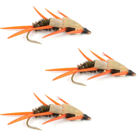 3 Pack Double Bead Peacock Stonefly Nymph with Amber Biot Legs Fly Fishing Flies - Trout and Bass Wet Fly Pattern - Hook Size 14