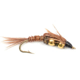 Double Bead Pheasant Tail Nymph Fly Fishing Flies -  6 Flies Hook Size 8