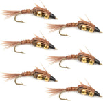 Double Bead Pheasant Tail Nymph Fly Fishing Flies -  6 Flies Hook Size 10