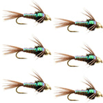 Barbless Bead Head Flashback Pheasant Tail Nymph Fly 6 Flies Hook Size 18