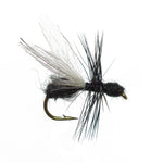 Trout Fly Assortment - Premium Terrestrial Flies - 12 Essential Hoppers, Ants and Beetles with Fly Box