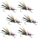 Gypsy King Hopper Foam Body Grasshopper Fly - 6 Flies Hook Size 10