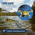 Reaction Tackle 2.5" Hollow Body Frogs / 2-Pack